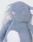 Peluche com Som - Azul Claro