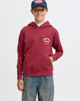 Hoodie com Estampado Traseiro - Bordo