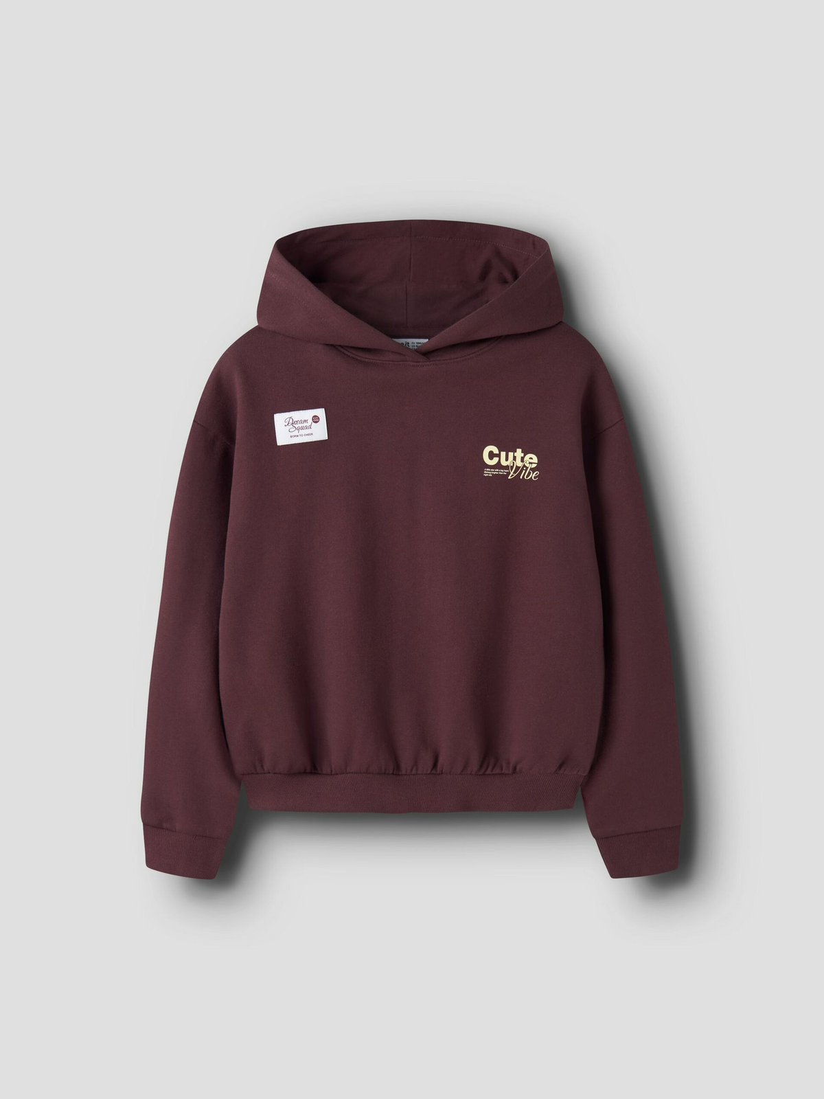 Hoodie com Estampado Traseiro - Bordo