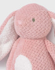 Peluche com Som - Rosa