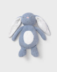 Peluche com Som - Azul Claro